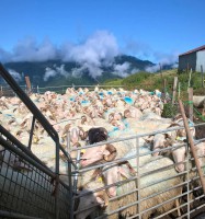 /album/galerie-photos/a10506638-832999620124188-4329879538532559203-o-jpg/